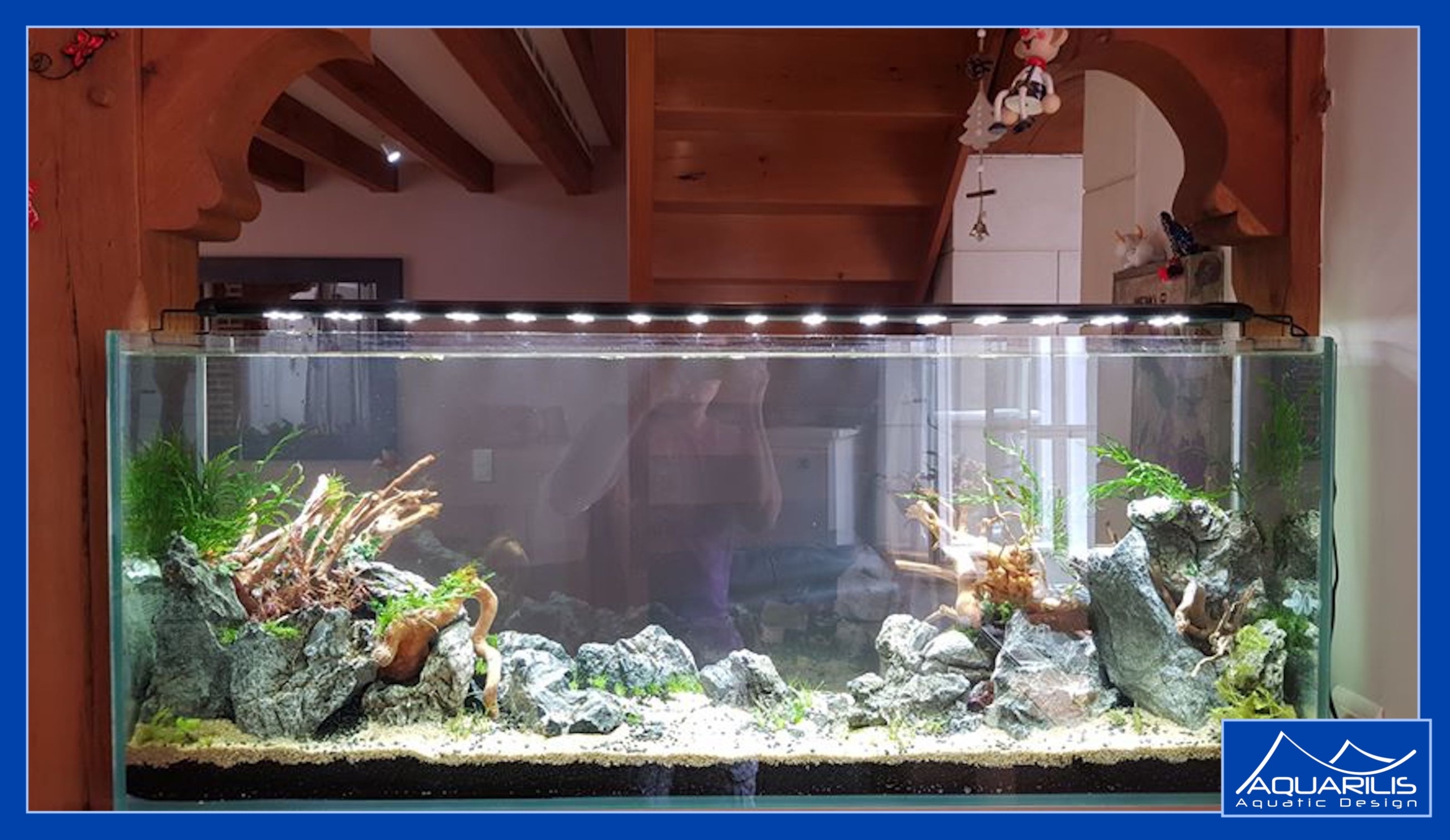 aquarium salon