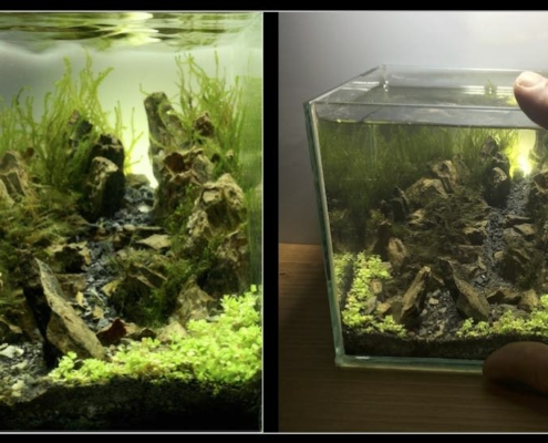 2016-cube pico aquarium