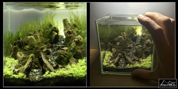 2016-cube pico aquarium