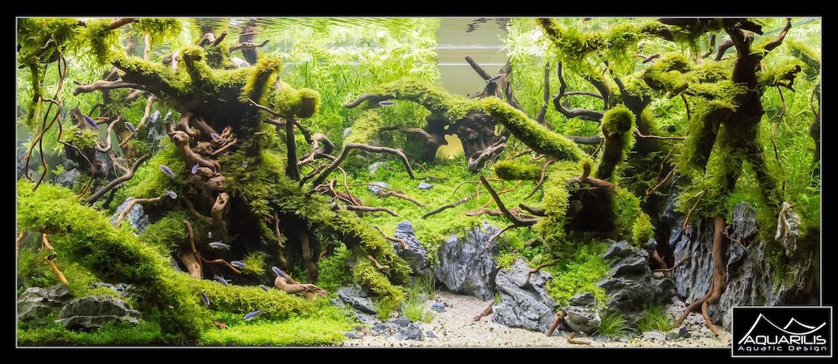 2016-ents aquarium