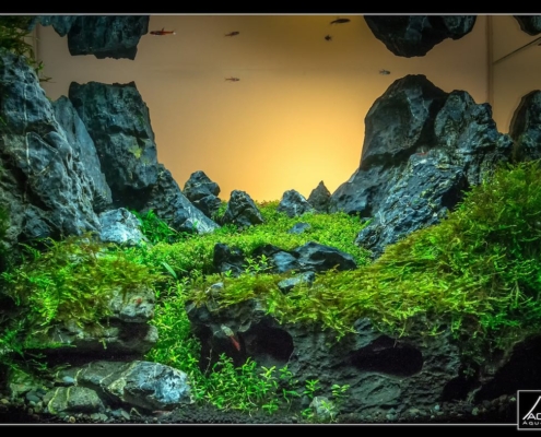 2017-coucher de soleil