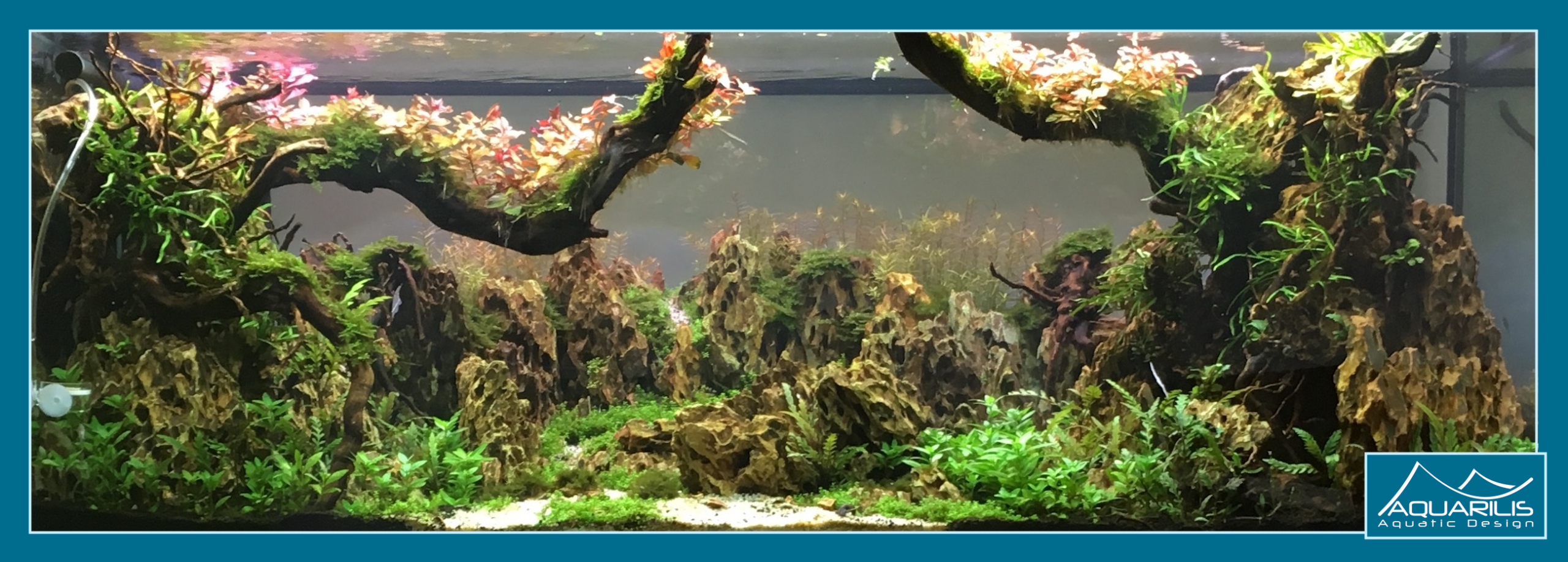 Aquarium Campus Animalis