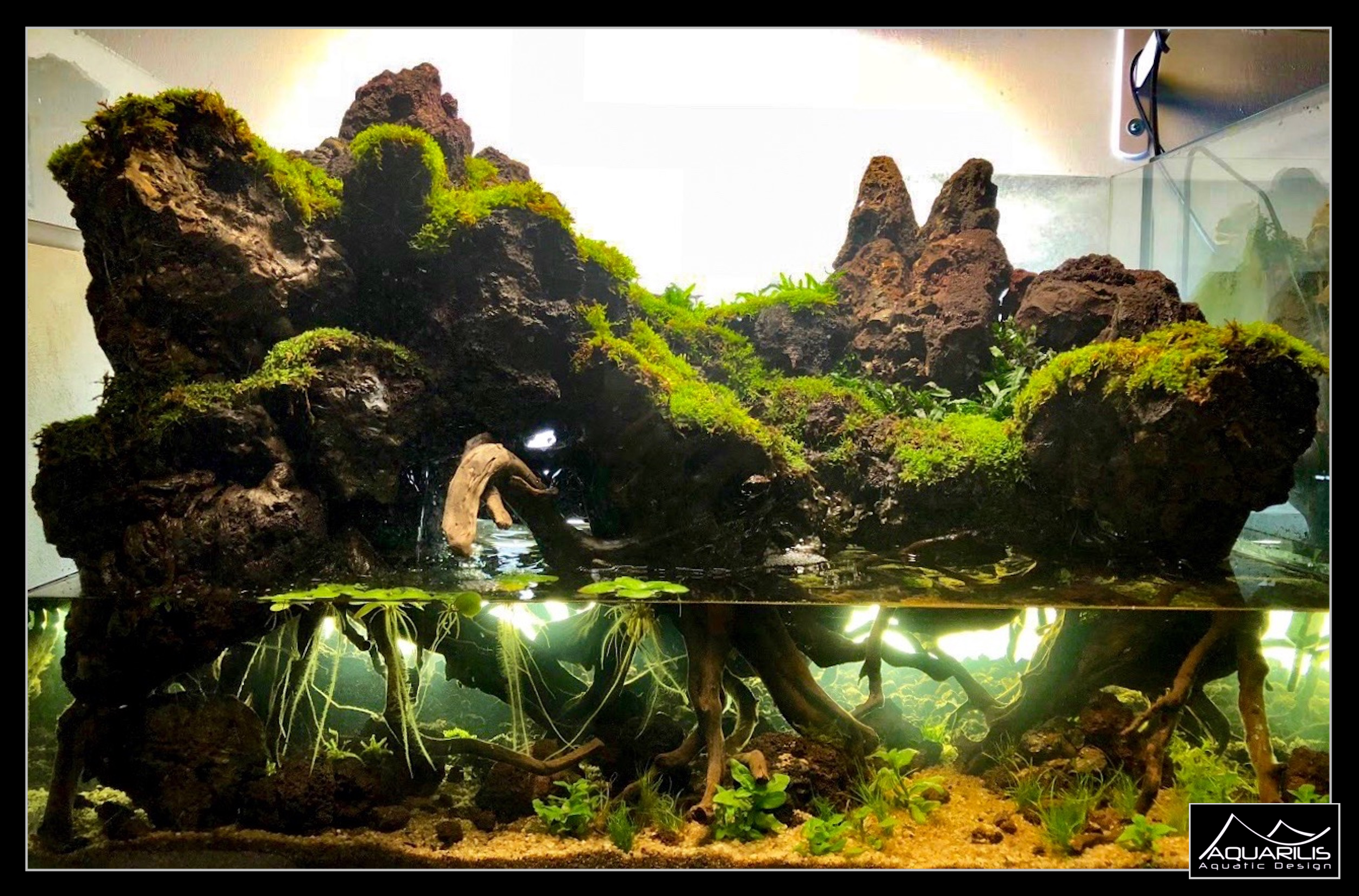 Paludarium Mordor