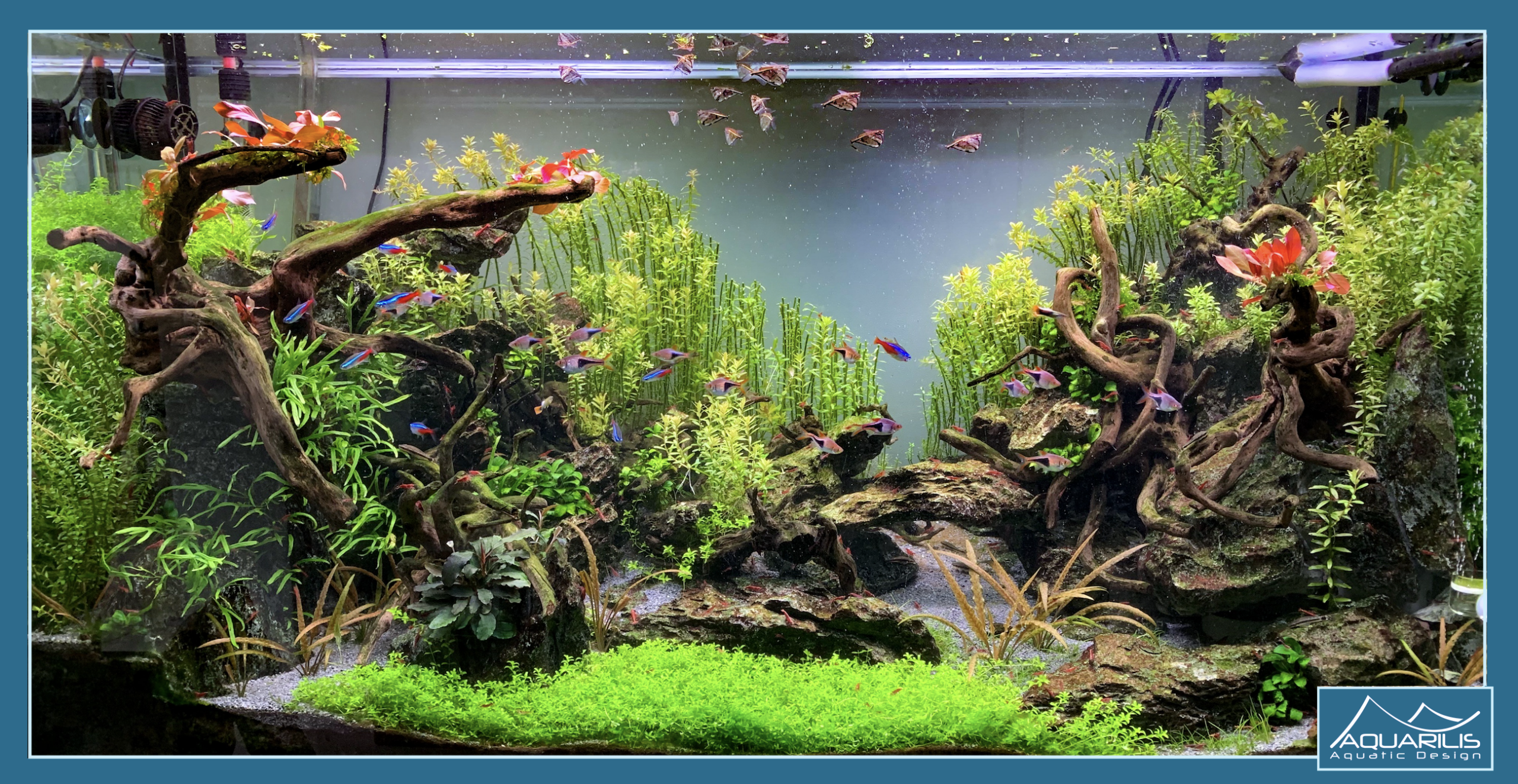 Aquarium route romaine