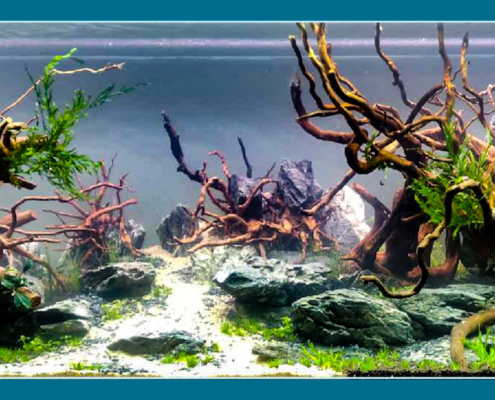Apachetta aquarium client