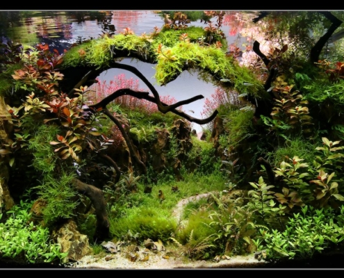 2019-Le-Val-sans-retour