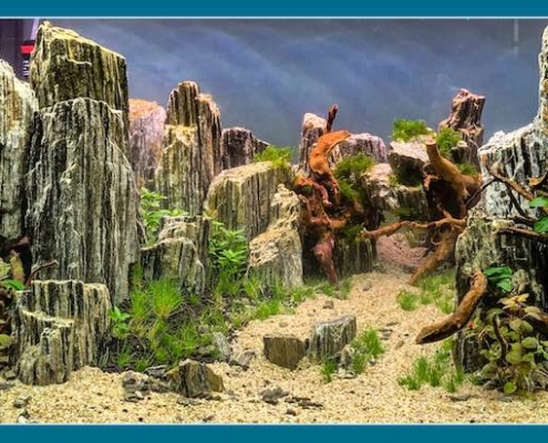 2020-glimmer-stone decor