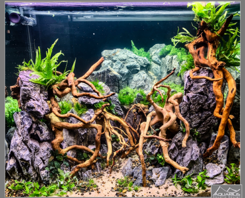 Animal Expo - Road Show Eheim