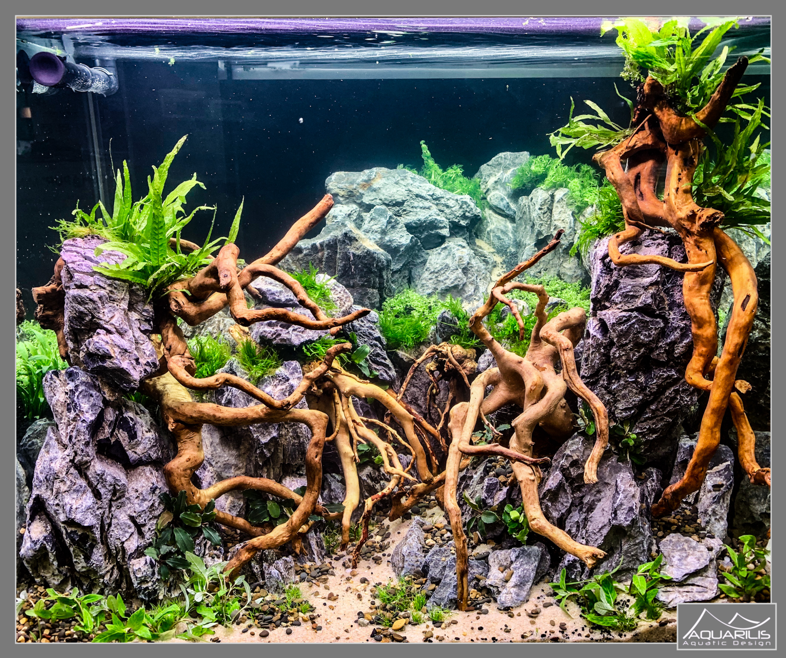 Animal Expo - Road Show Eheim