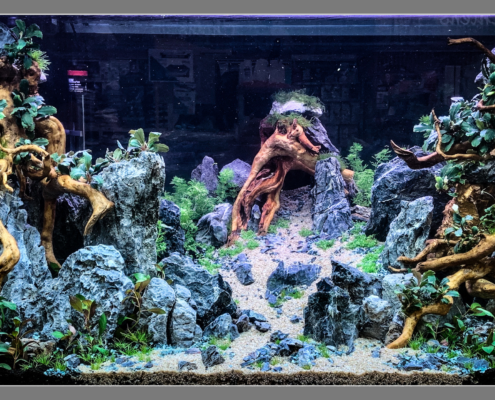 Animalis Le Mans - Road Show Eheim