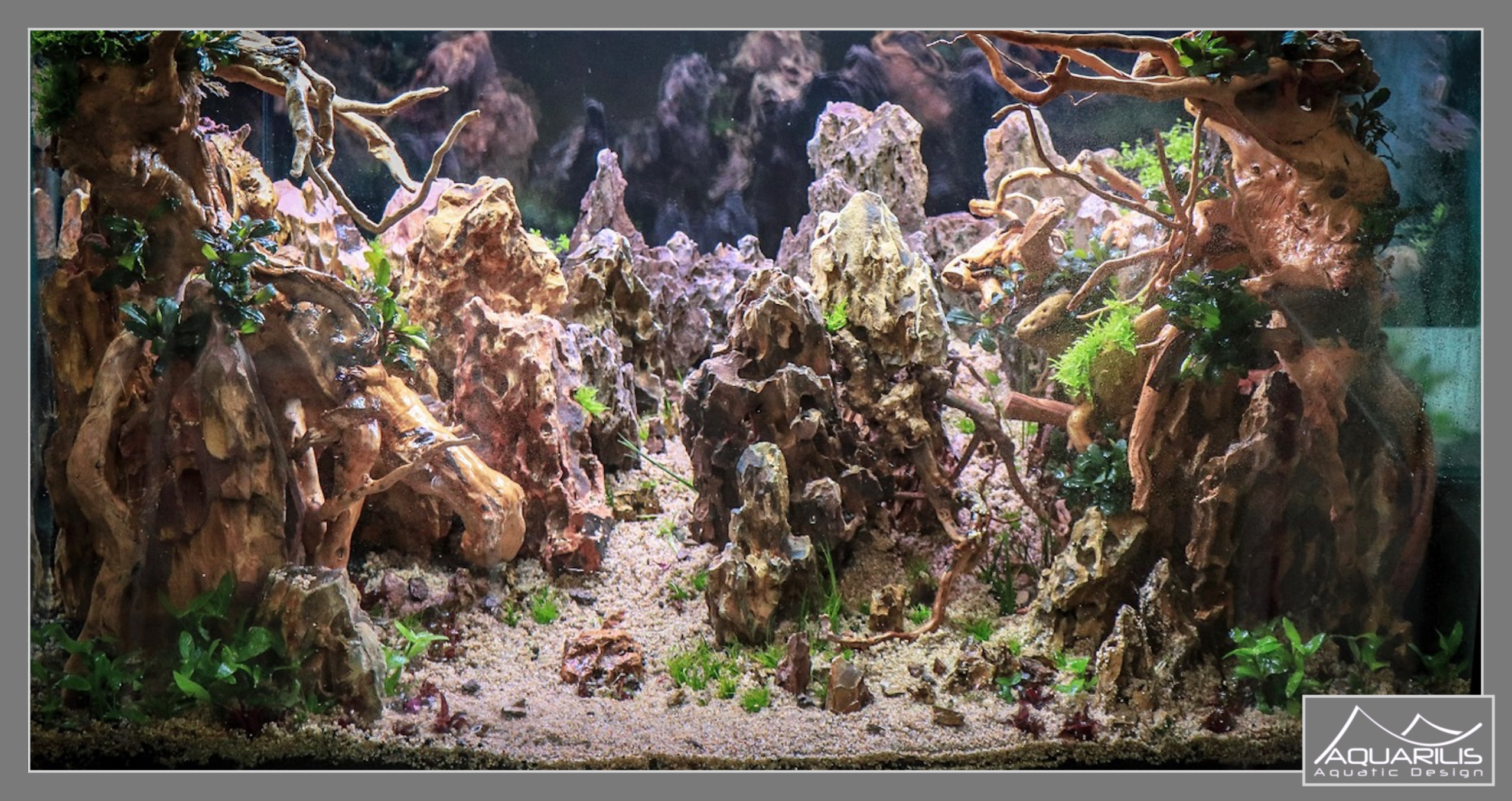 Road Show Eheim Animalis Lognes