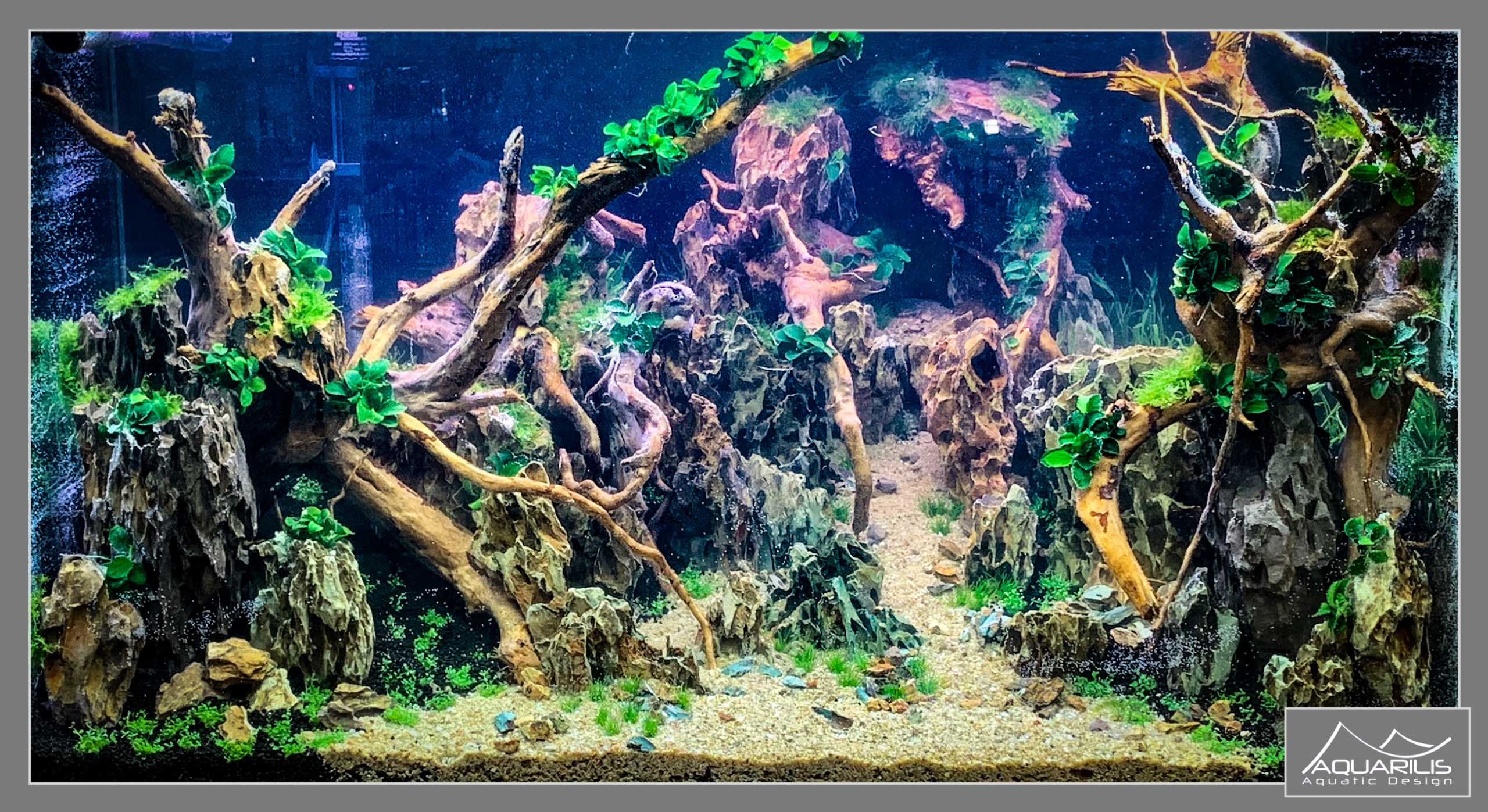 Danimo Rouen - Road Show Eheim