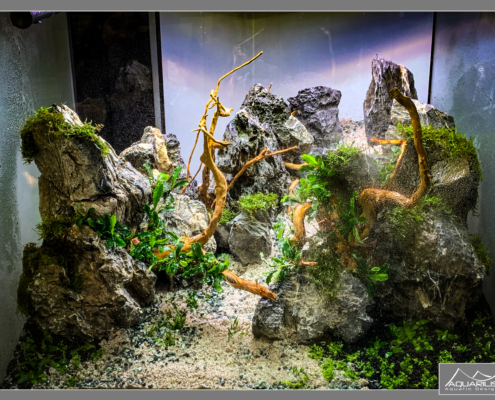 EFV - Road Show Eheim