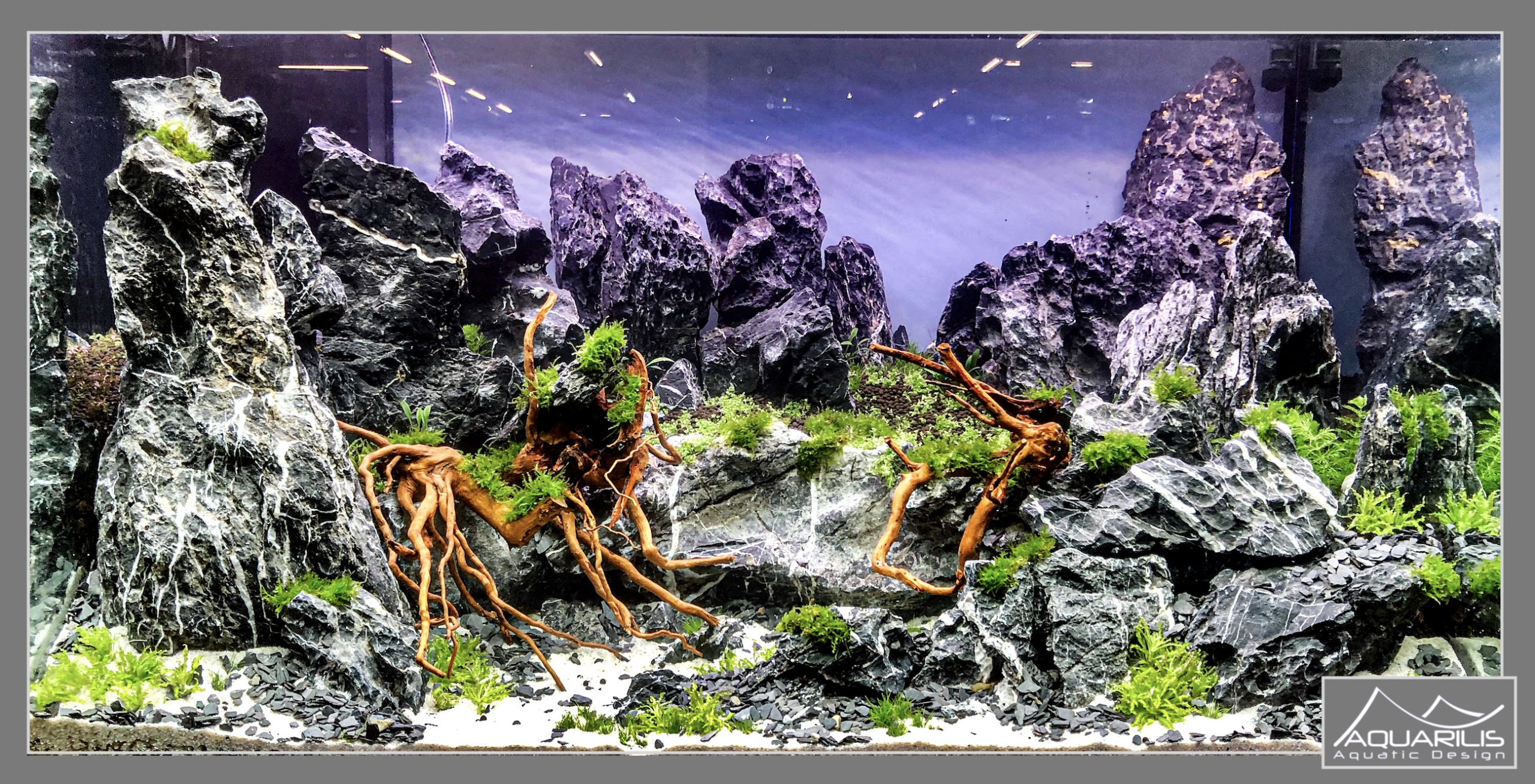 Aquarium Eheim Europrix