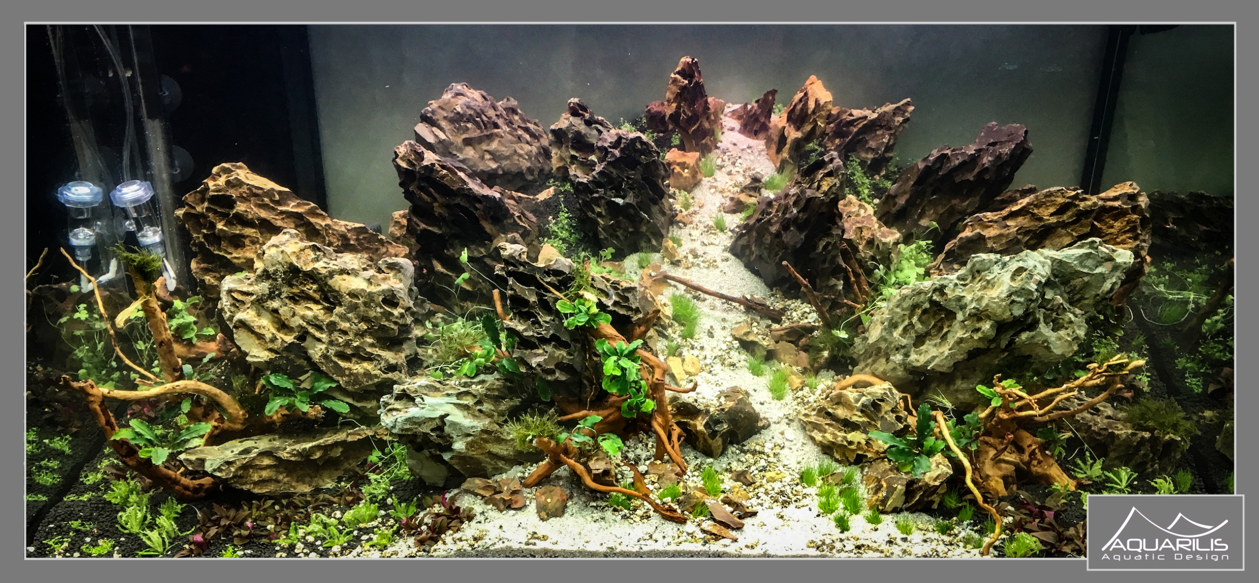 Road Show Eheim Family Pet