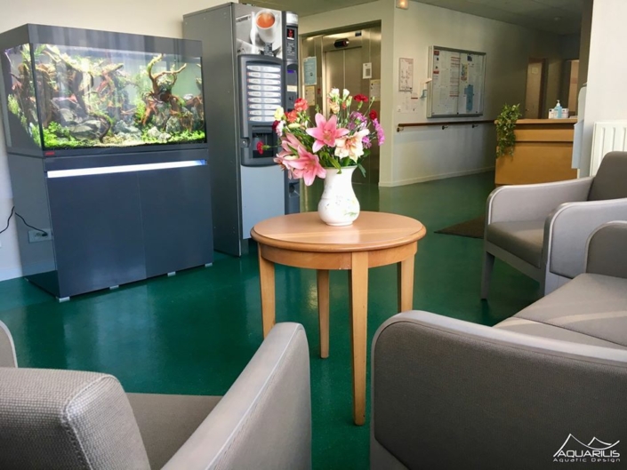 Un aquarium en salle d'attente d'un Ehpad