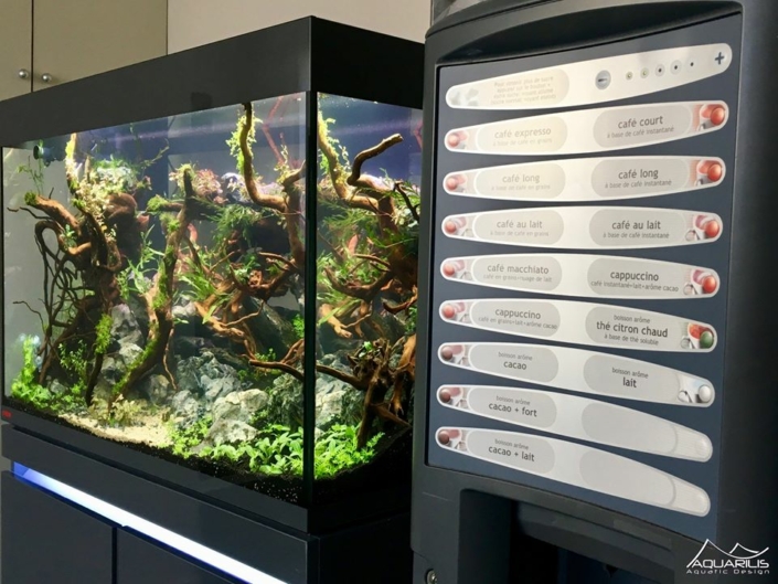 Un aquarium en salle de pause