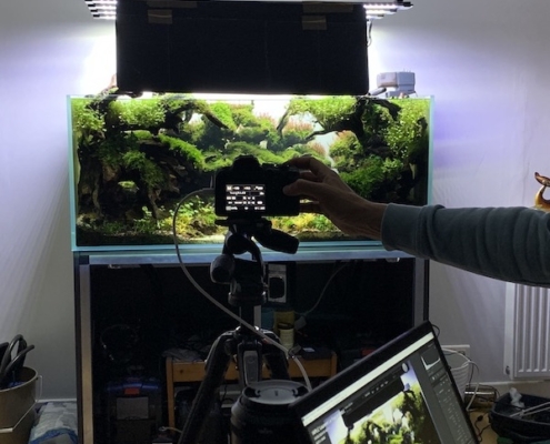 concours-photo-aquascaping