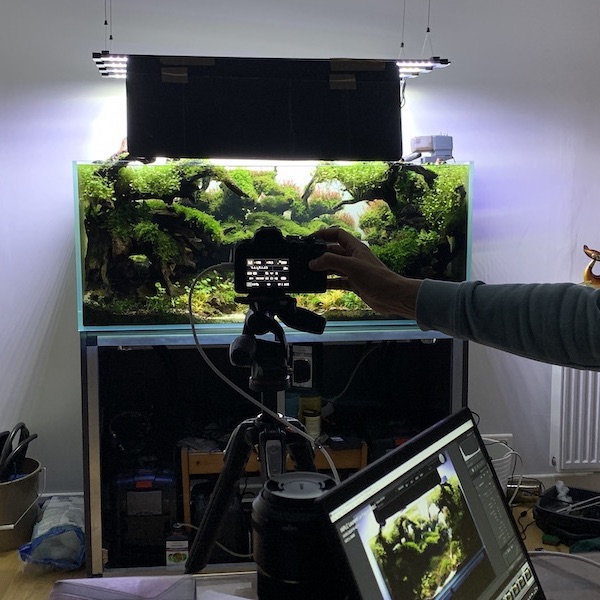 concours-photo-aquascaping
