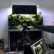 concours photo aquascaping