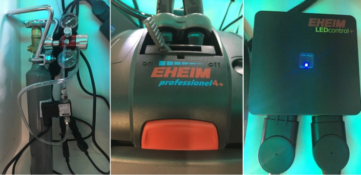 family pet tours aquarium 8