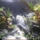 maxizoo-beaucouze-aquascaping