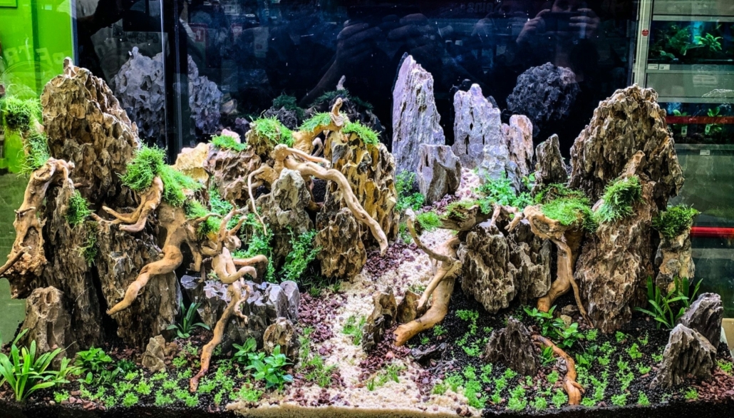 maxizoo-saint-herblain-aquarium-aquarilis