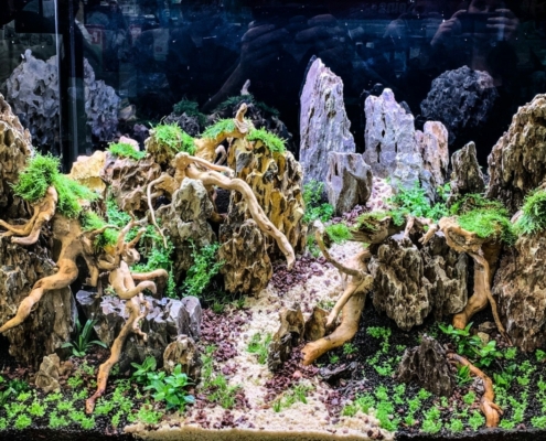 maxizoo-saint-herblain-aquarium-aquarilis