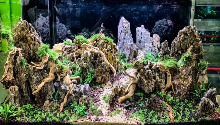 maxizoo-saint-herblain-aquarium-aquarilis