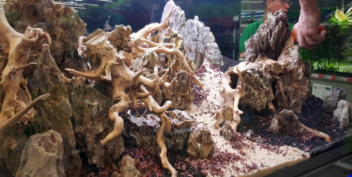 maxizoo saint herblain aquarium hardscape