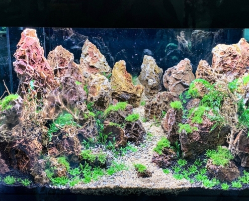 maxizoo-seclin-incpiria