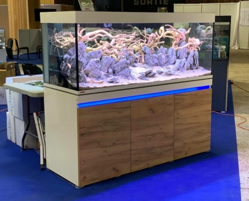 paris-animal-show-aquascaping-une