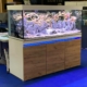 paris-animal-show-aquascaping-une