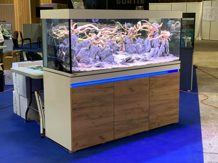 paris animal show aquascaping une