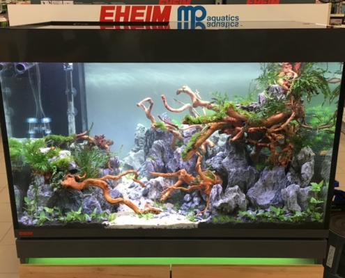 philanima-lanester-aquarium-2