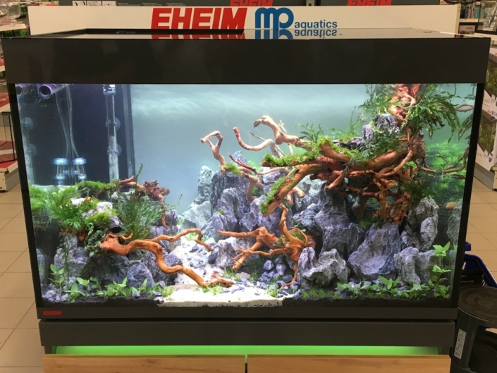 philanima-lanester-aquarium-2