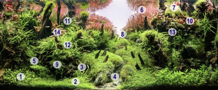 rift-valley-plantation