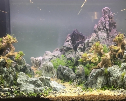 truffaut-villeparisis-aquarium