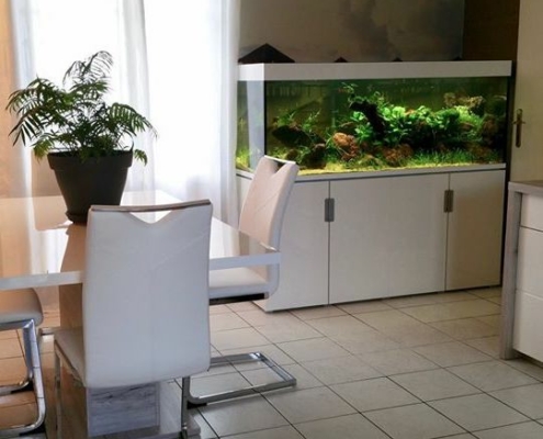 aquarium decoration interieur