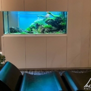 aquarium entreprise