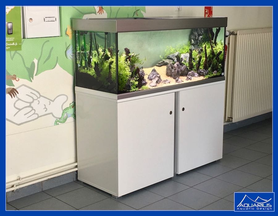 aquarium-hopital