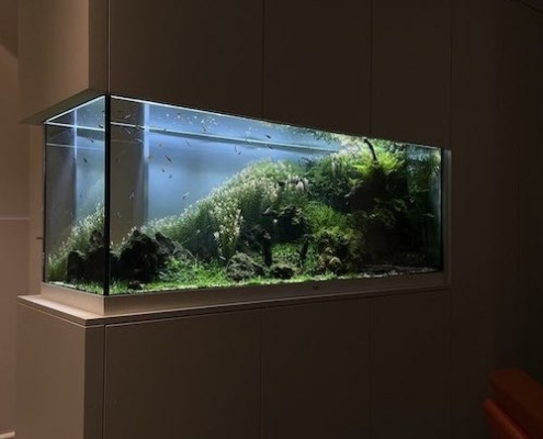 aquarium-professionnel
