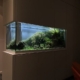 aquarium-professionnel