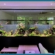 Jwell aquarium geant
