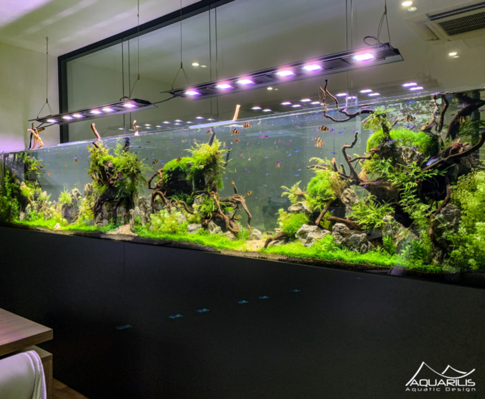 Jwell aquarium geant bureau