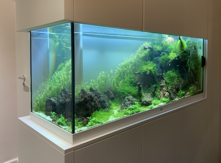 aquarium sur mesure integre meuble