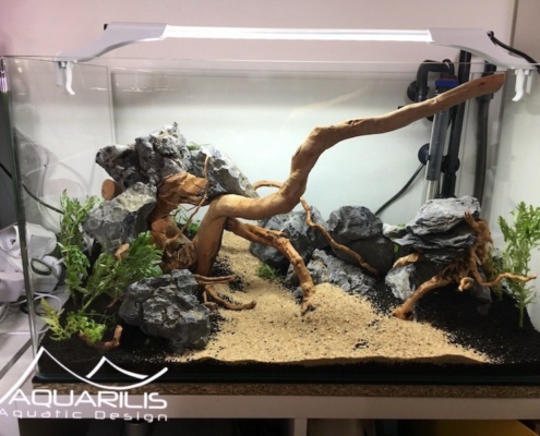 formation aquascaping