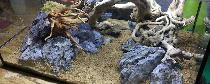 formation-aquascaping