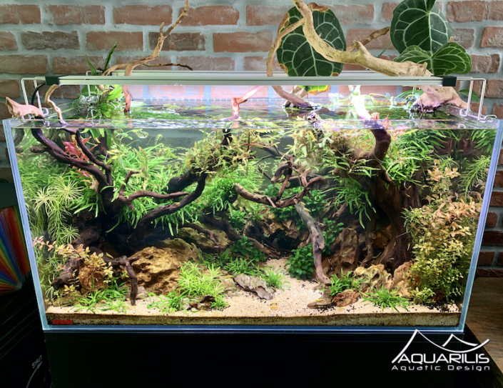 LP Architecture aquarium