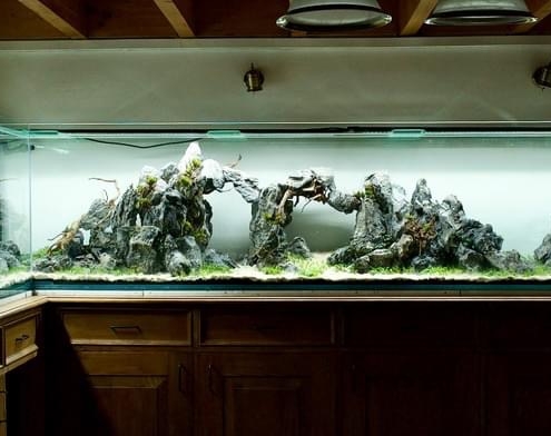 les portes de la montagne lyonnaise aquarium